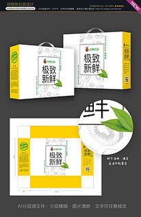 精品平面設計 從素材圖庫到廣告制作的創意之旅